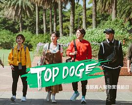 91撸色《TOP DOG》免费在线观看