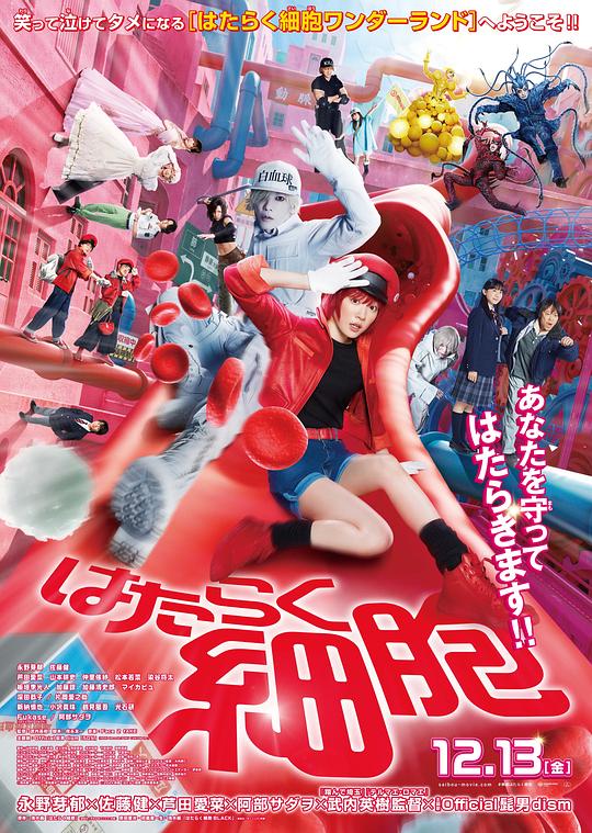 91撸影视《工作细胞 真人版 はたらく細胞》免费在线观看