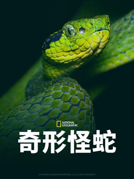 91暗网《奇形怪蛇》免费在线观看